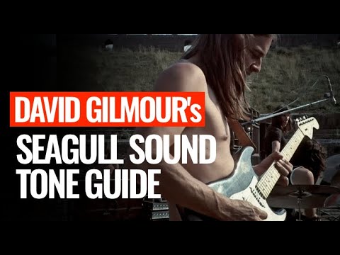 David Gilmour's seagull reversed wah wah tone from Echoes!
