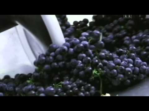 Moderne Wunder - Wein