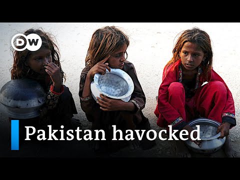 營養不良，沒有學校。洪水過後的巴基斯坦兒童 | DW新聞 (Malnourished and without schools: Pakistan's children after the flood | DW News)