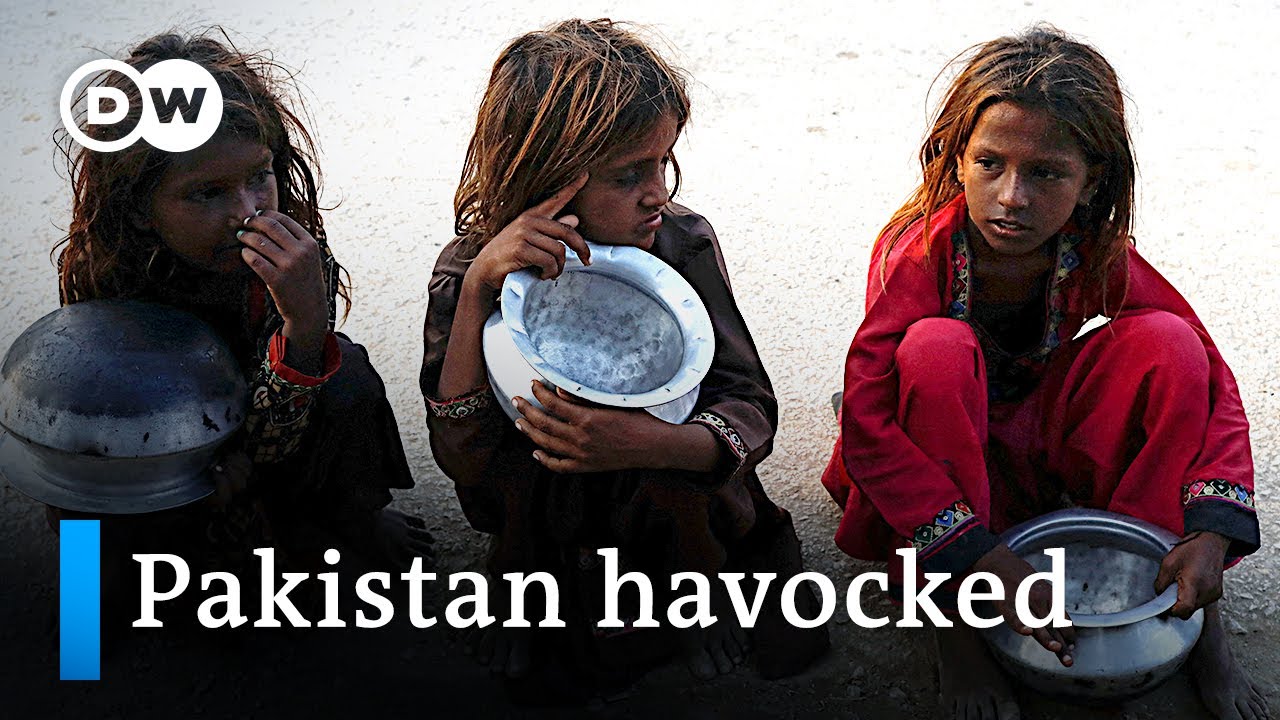 Malnourished and without schools: Pakistan's children after the flood | DW News