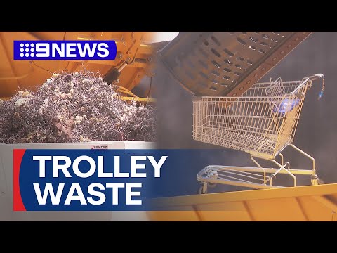 Fed-up council cracking down on rogue shopping trolley 'plague' | 9 News Australia