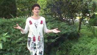 Angels and Orbs: Pictures of Orbs Playing with People