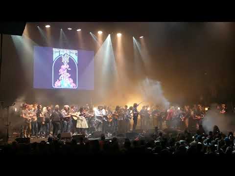 What The Night Brings 11/4/19 No Expectations