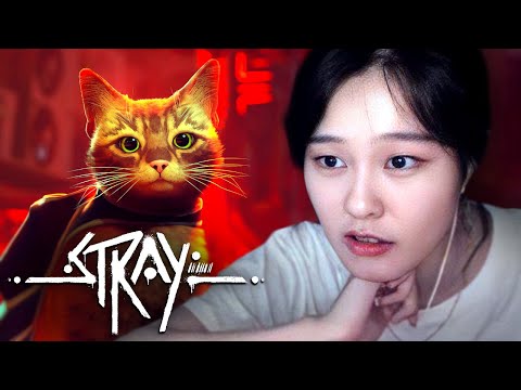 39daph Plays Stray