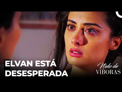 Elvan Se Casa Con Quien No Quiere - Nido De Víboras Capitulo 2