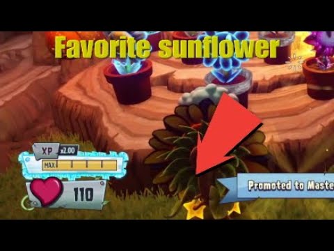 Mastering my favorite sunflower Sun pharaoh (episode 3 of the Mastering series )