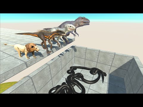 Who Can Jump Over Titanoboa Black - ARBS