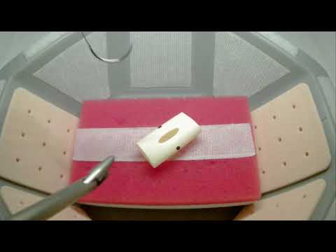 Exercise L-4: intracorporeal tie