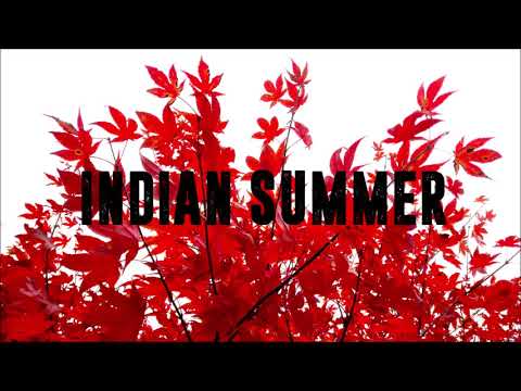 The Jan Solo Project - INDIAN SUMMER (Lyric Video)