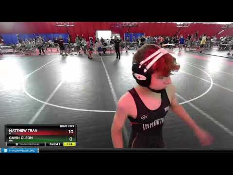 102 Lbs Semifinal - Matthew Tran, IA Vs Gavin Olson, MN 651c