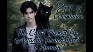 📦🐈‍⬛ De la o cutie de carton udă la cea mai caldă îmbrățișare și... o poveste de dragoste super dulce!💕EP1-11Compilație#bl