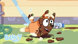 Bluey ile Bahçe Partisi 🏡✨ | Bluey Türkçe Resmi Kanal