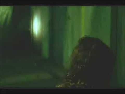 Saw L'enigmista VS Barbra Streisand