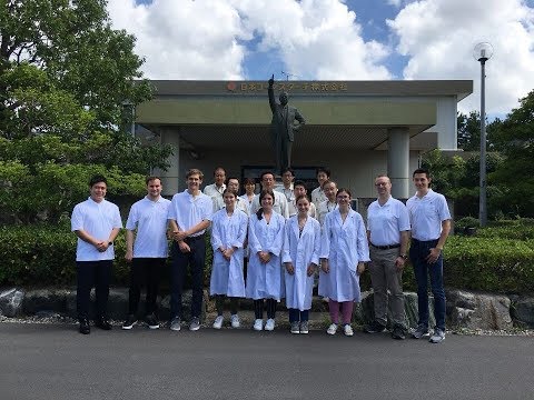 download lagu mp3 mp4 Cornstarch In Japan, download lagu Cornstarch In Japan gratis, unduh video klip Cornstarch In Japan