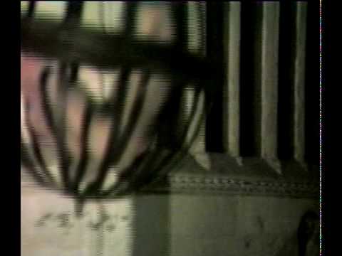 Rosa+Crvx - Cage Performance