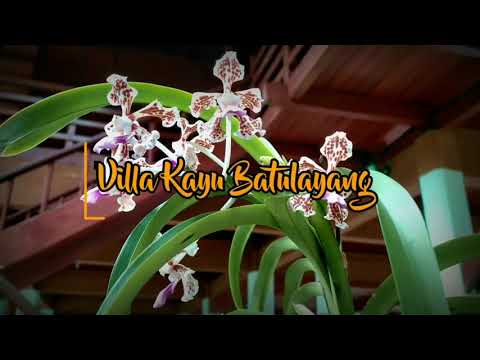 Villa Kayu Batulayang (review)