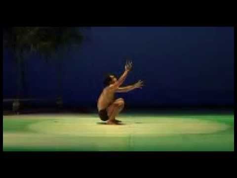 "L'esprit de la Forêt" VIDEO 2005