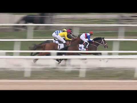 2023.04.09. 01. futam - NYERETLENEK VERSENYE (V.kat.) (szintetikus pálya)