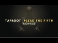 Taproot "Now Rise" Song Meaning