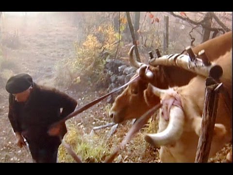 Alalá nº 59 "Os ciclos do ano en Toutón" - TVG