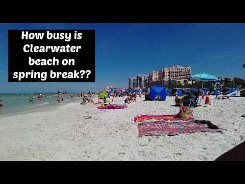 🆕travel To Clearwater Beach Things To Do In Clearwater Beach 2020