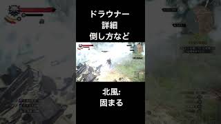 ドラウナー 詳細　ウィッチャー3