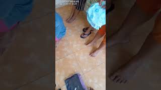 Download lagu ibu ibu muda ini suka dengan celana dalam keluaran terbaru #ibu #muda #celanadalam #terbaru #shorts mp3