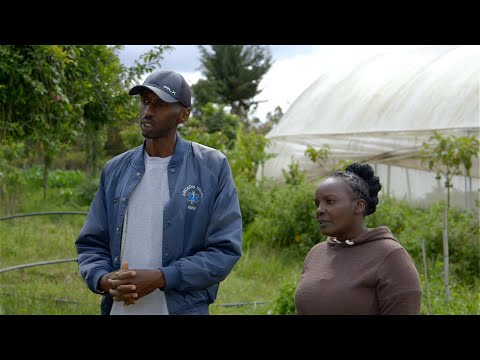 Shamba Shape Up Sn 13 - Ep 2:Soil test,Minimum Tillage,Calf Care,Climate Literacy&Air Fryer(English)