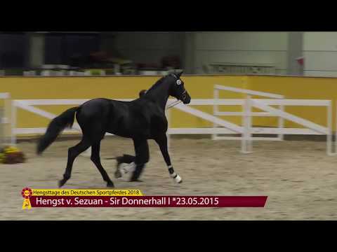 Sezuan - Sir Donnerhall I *2015