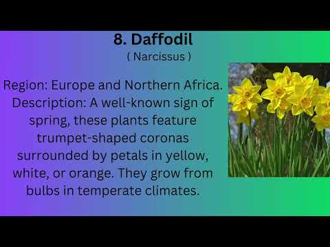 Exotic Flowers from Different Regions of world 🌎 