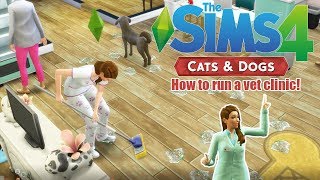 HOW TO START AND RUN A VET CLINIC! | The Sims 4 Cats and Dogs | TIps & Tricks