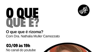 O que que é rizoma?