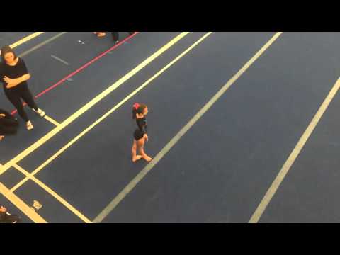 OGC 2016 Competition - Summer Floor Routine