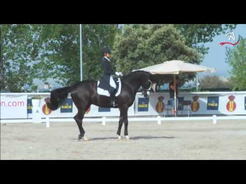 CDI RACE 2012 Junior Individual