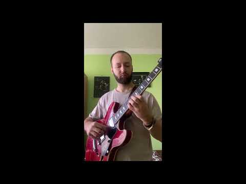 Englishman in New York - Sting / Branford Marsalis soprano saxophone solo (guitar)