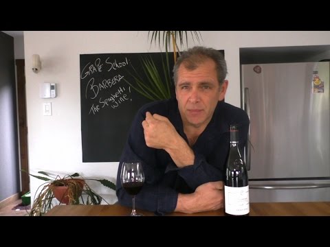 Wine grape school: Barbera