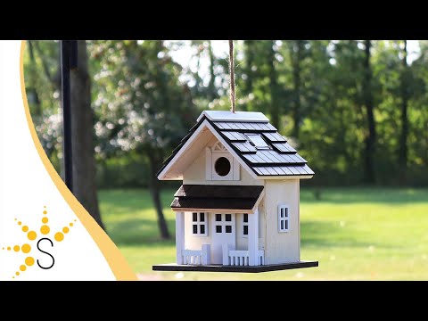 Product Video Thumbnail