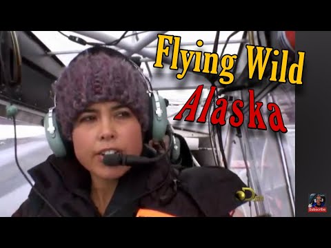 Flying Wild Alaska | Every Dog Has Its Day S02E05
