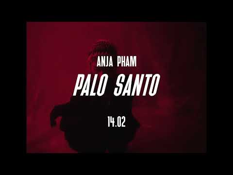 Anja Pham - Palo Santo (teaser)
