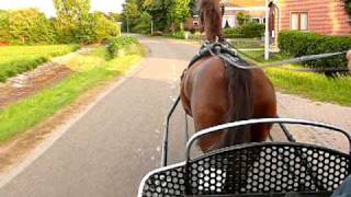 preview picture of video 'Heemskerk, 3 juli 2009: Lift van een paardenliefhebber, deel 2'