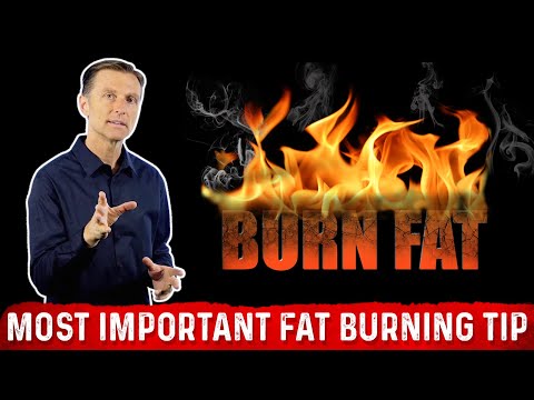 The Ultimate Fat Burning Guide Dr Berg s Webinar on Maximum Weight Loss