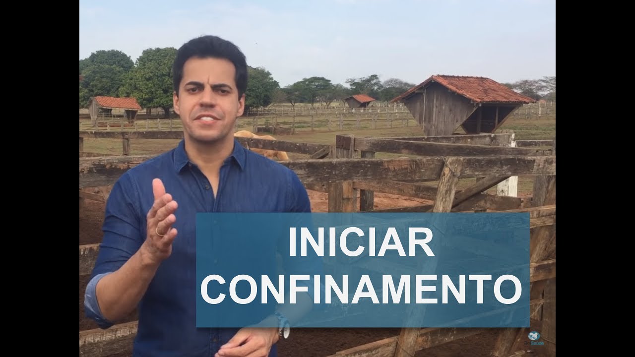 COMO INICIAR UM CONFINAMENTO EM PEQUENAS PROPRIEDADES?