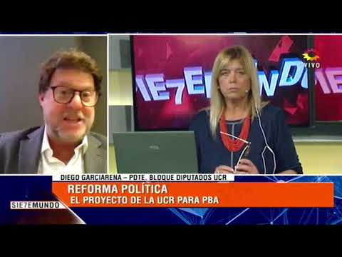 La reforma política en la Provincia de Buenos Aires. Diego Garciarena