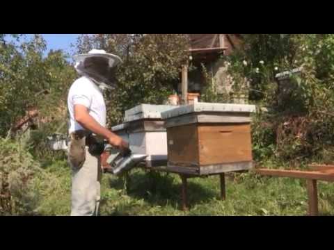 Boja meda ep. 24 21.08.2018. NAJAVA