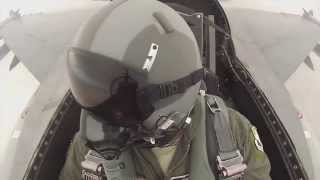 the mrbrown show: Republic of Singlish Air Force: the movie