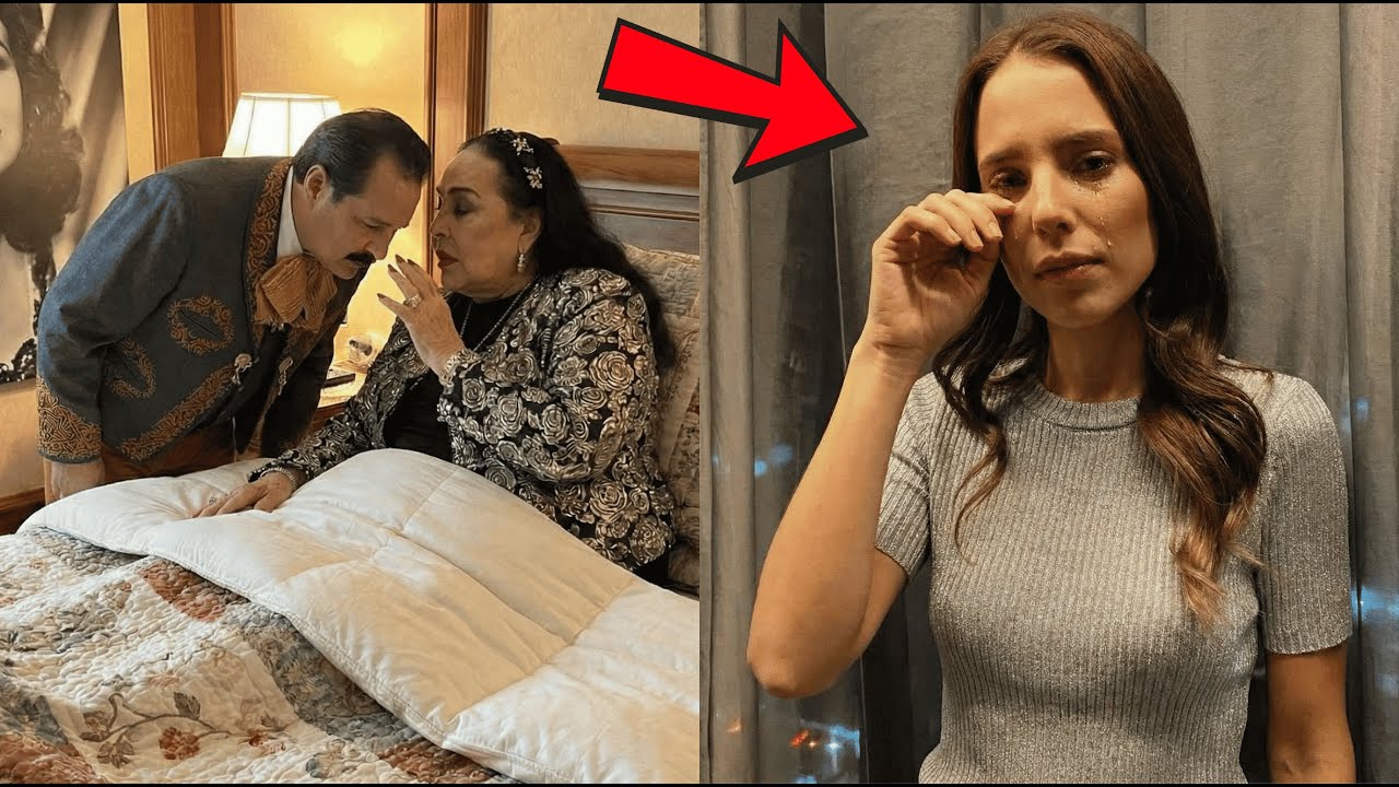 YouTube Thumbnail Downloader FULL HQ IMAGE