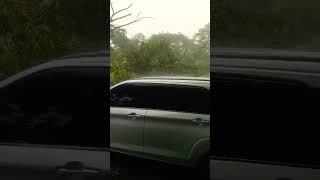 Download lagu Setelah angin sidoarjo kahuripan #sidoarjo #kahuripan #anginkencang #pohon #tumbang #hujan #angin mp3