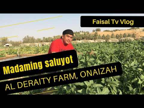 Al Deraity Farm in Onaizah