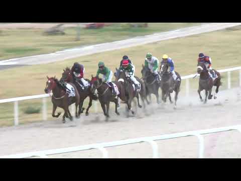 2022.08.21. 05. futam - KÖTELES BERTALAN EV.  BEVEZETŐSZÍJ HENDIKEP (III.o.) I.rész (szintetikus)