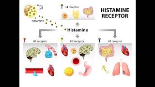 Astigmatizmus